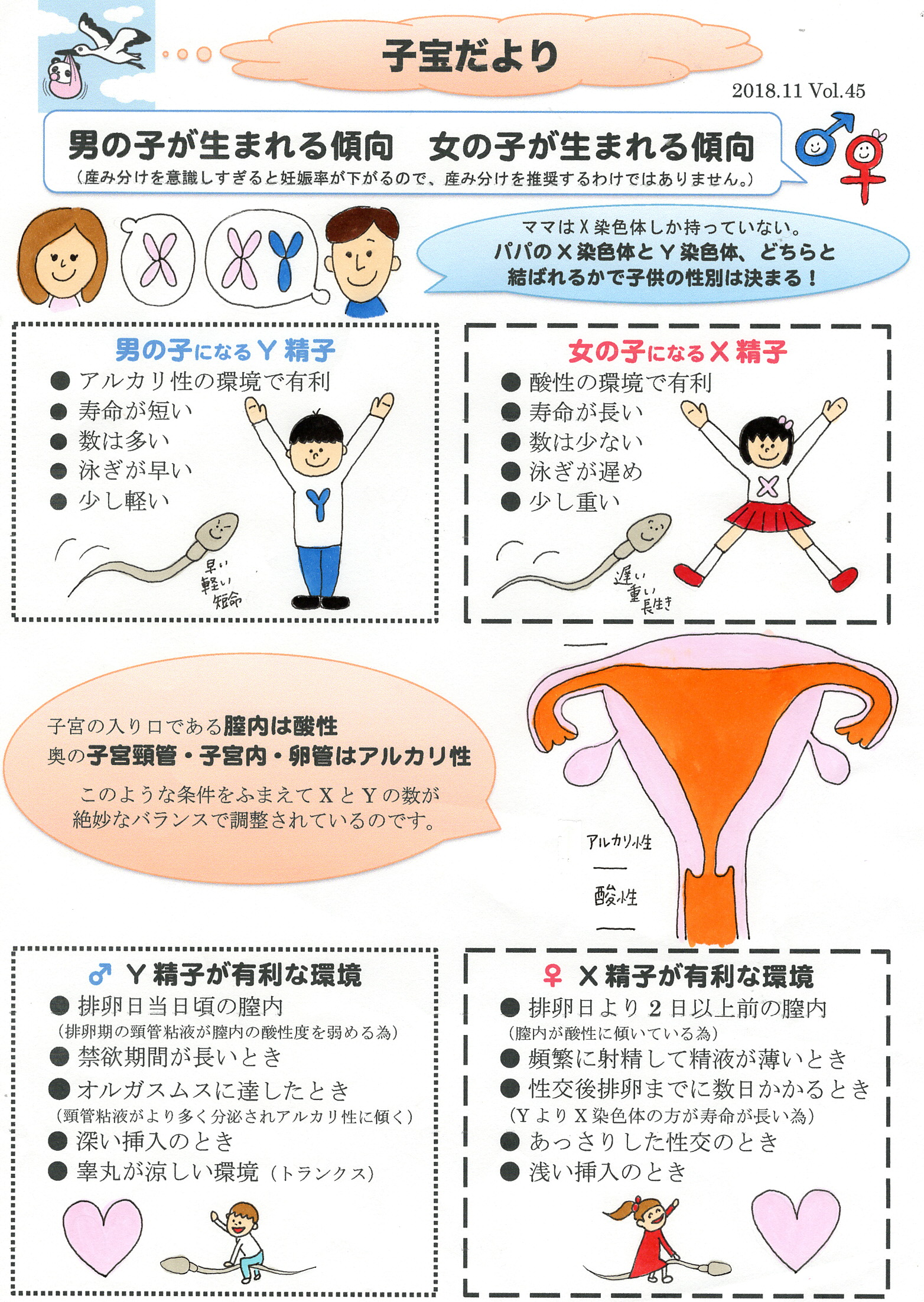 男の子（女の子）が産まれる傾向