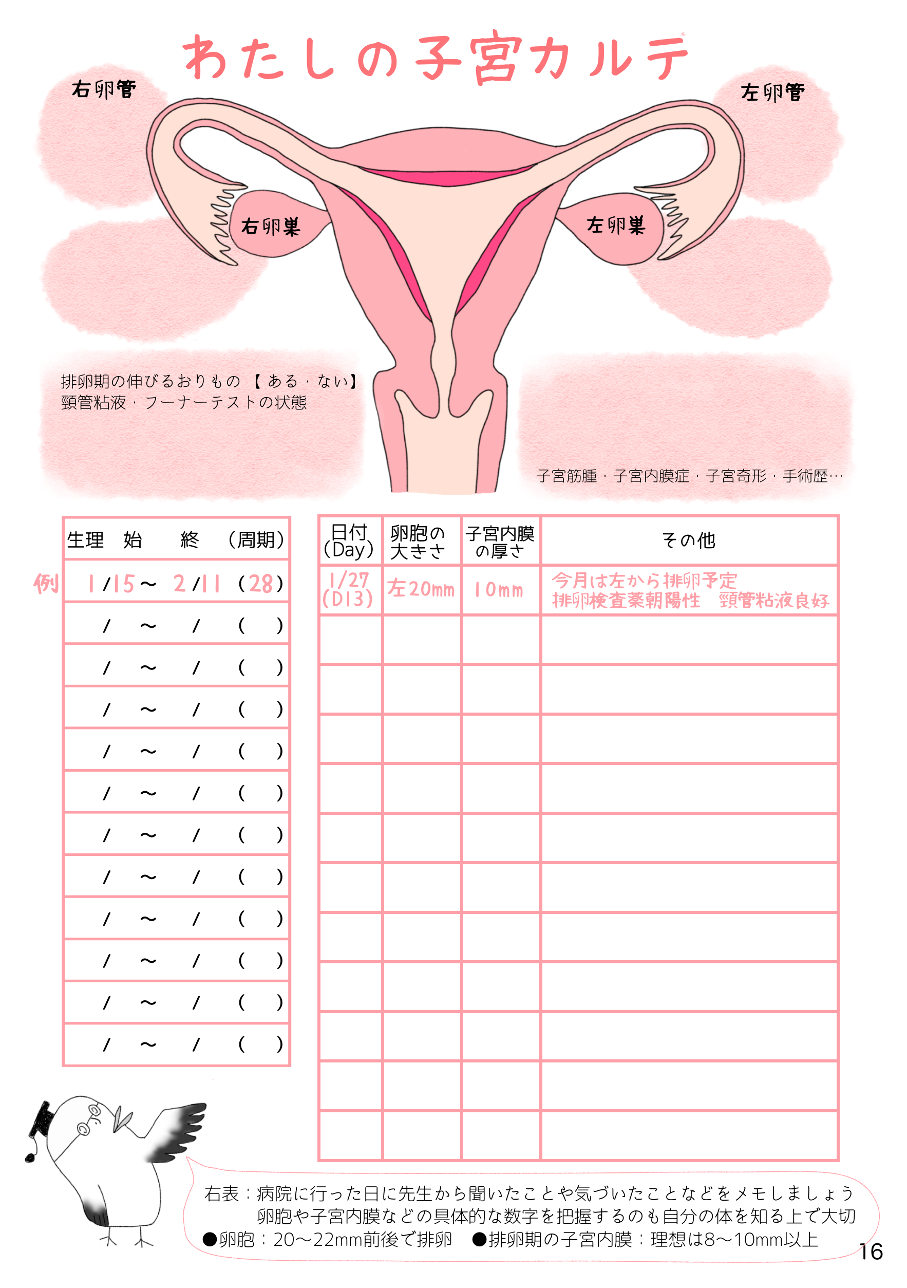 16📗私の子宮カルテ
