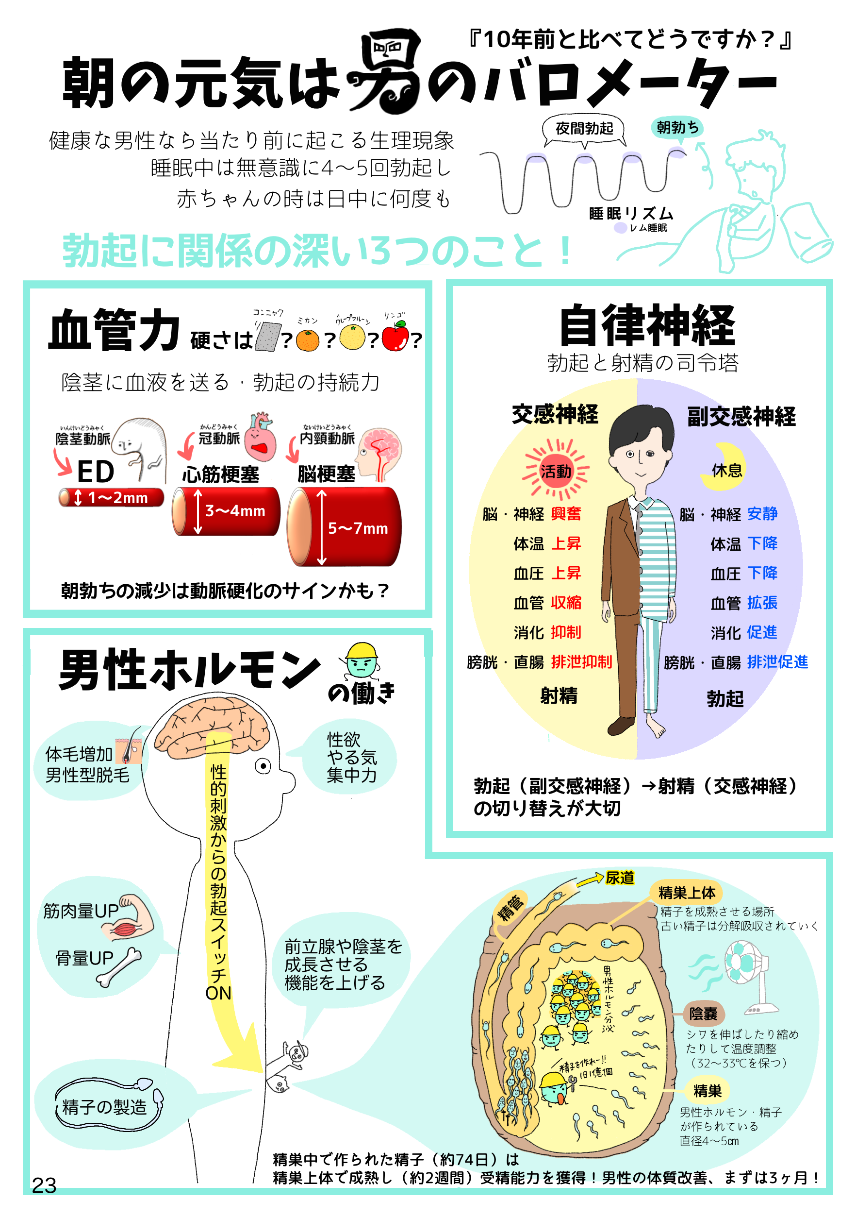 23📗朝勃ちはバロメーター 
