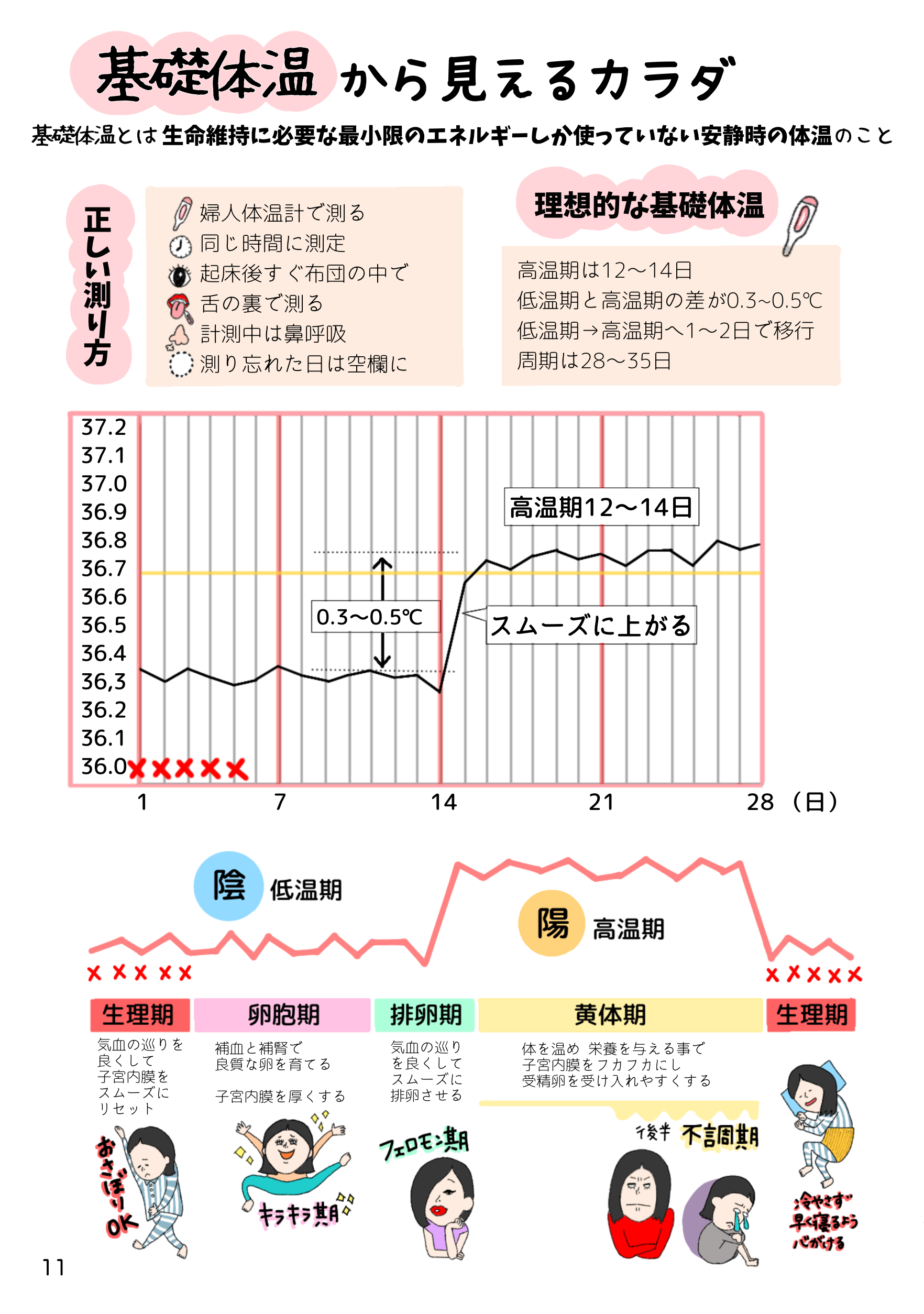 11📗基礎体温から見るカラダ左 