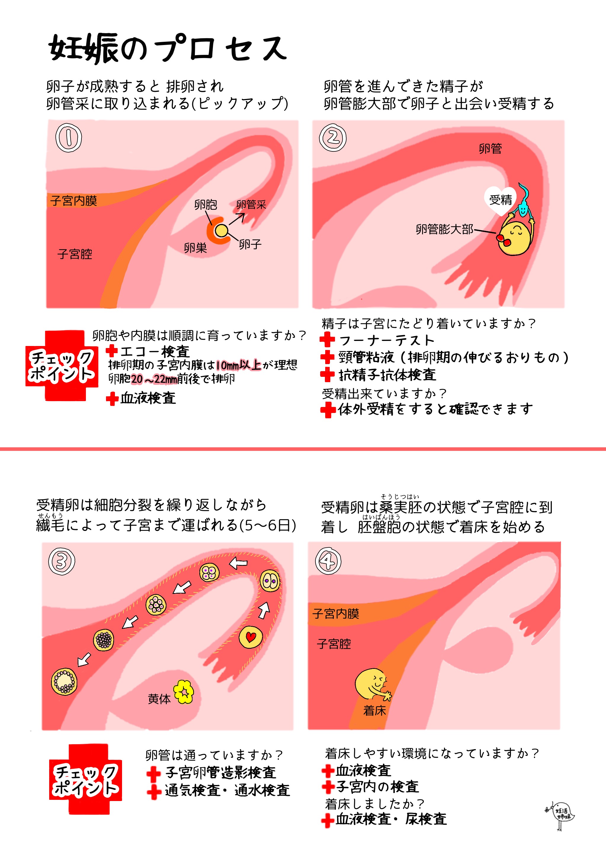 image_6483441 10