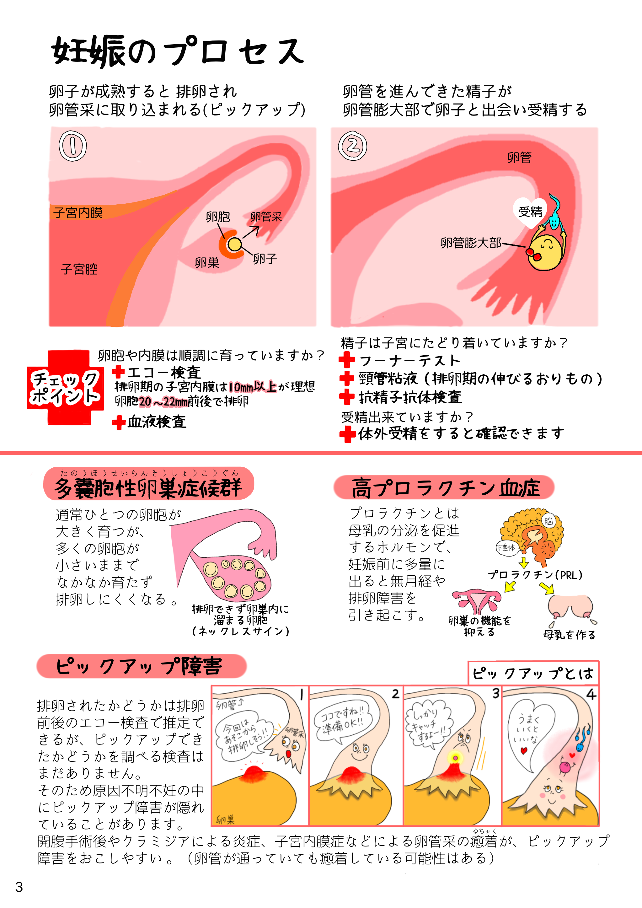 3📗妊娠のプロセス　左 