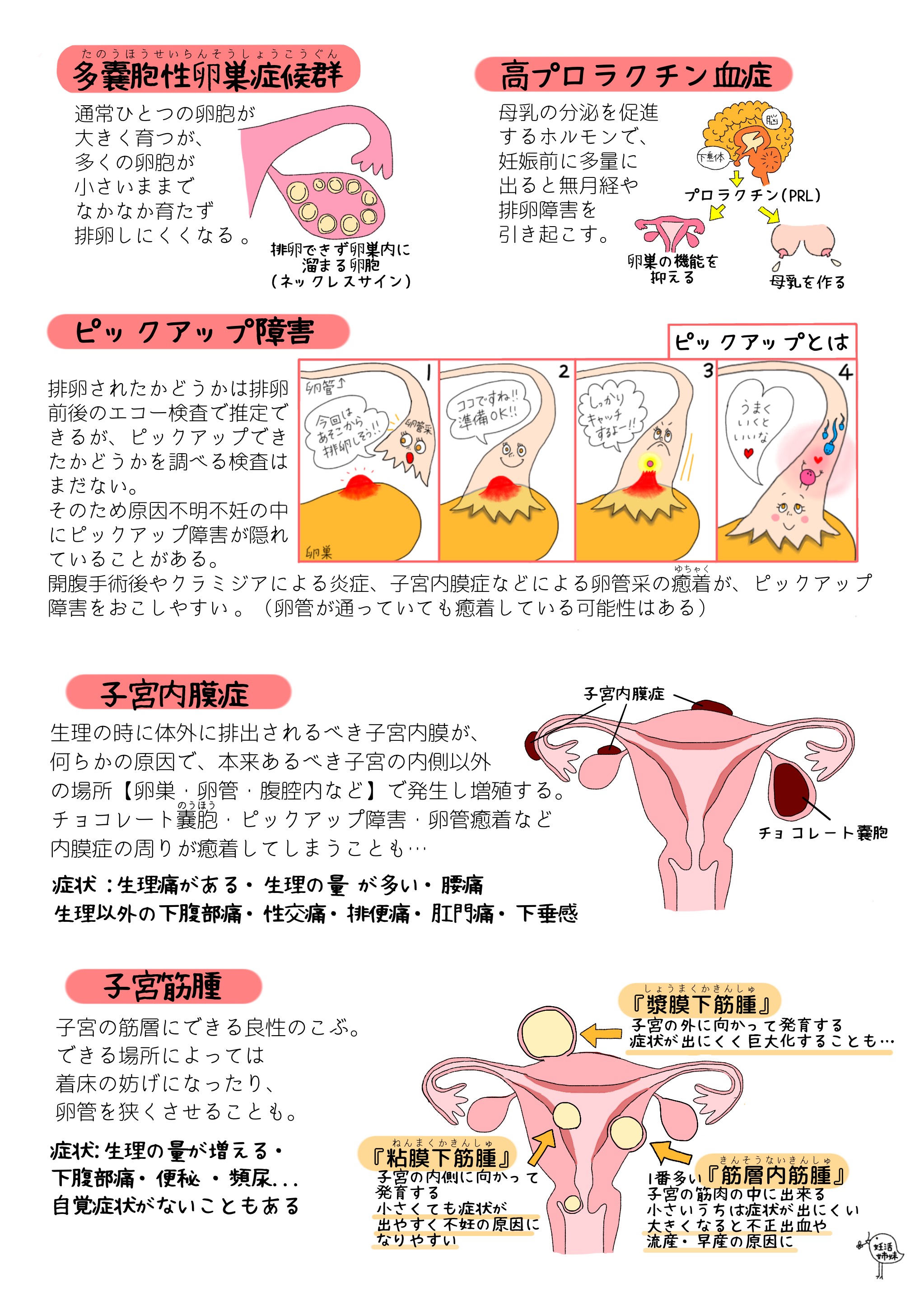 image_6483441 11