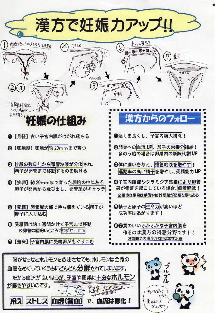 美佳の子宝だより