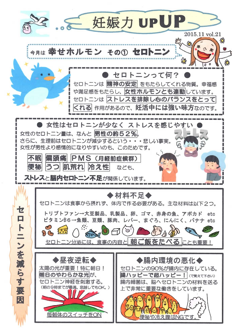 子宝だより
