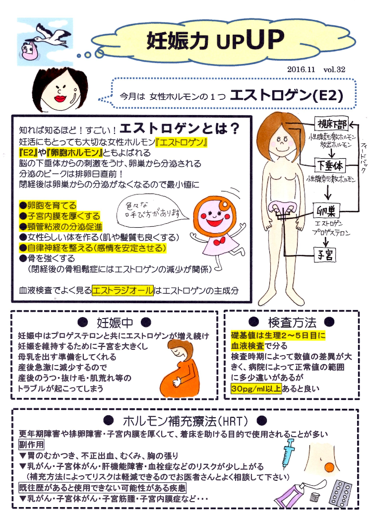 子宝だより：エストロゲン