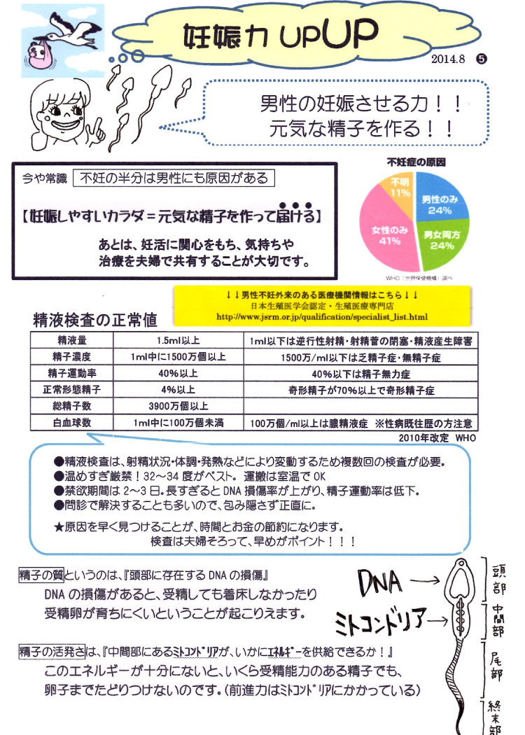 美佳の子宝だより