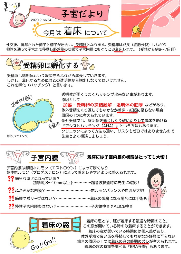 子宝だより「着床」