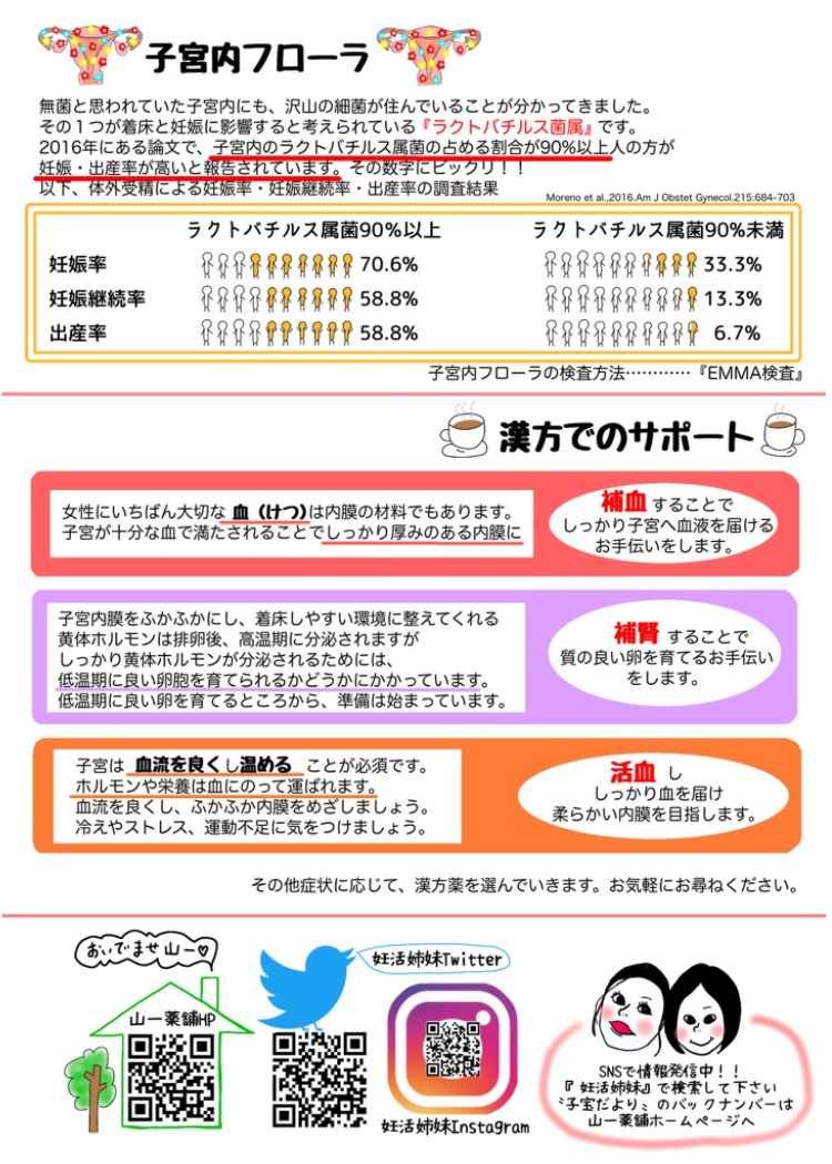 子宝だより「着床」