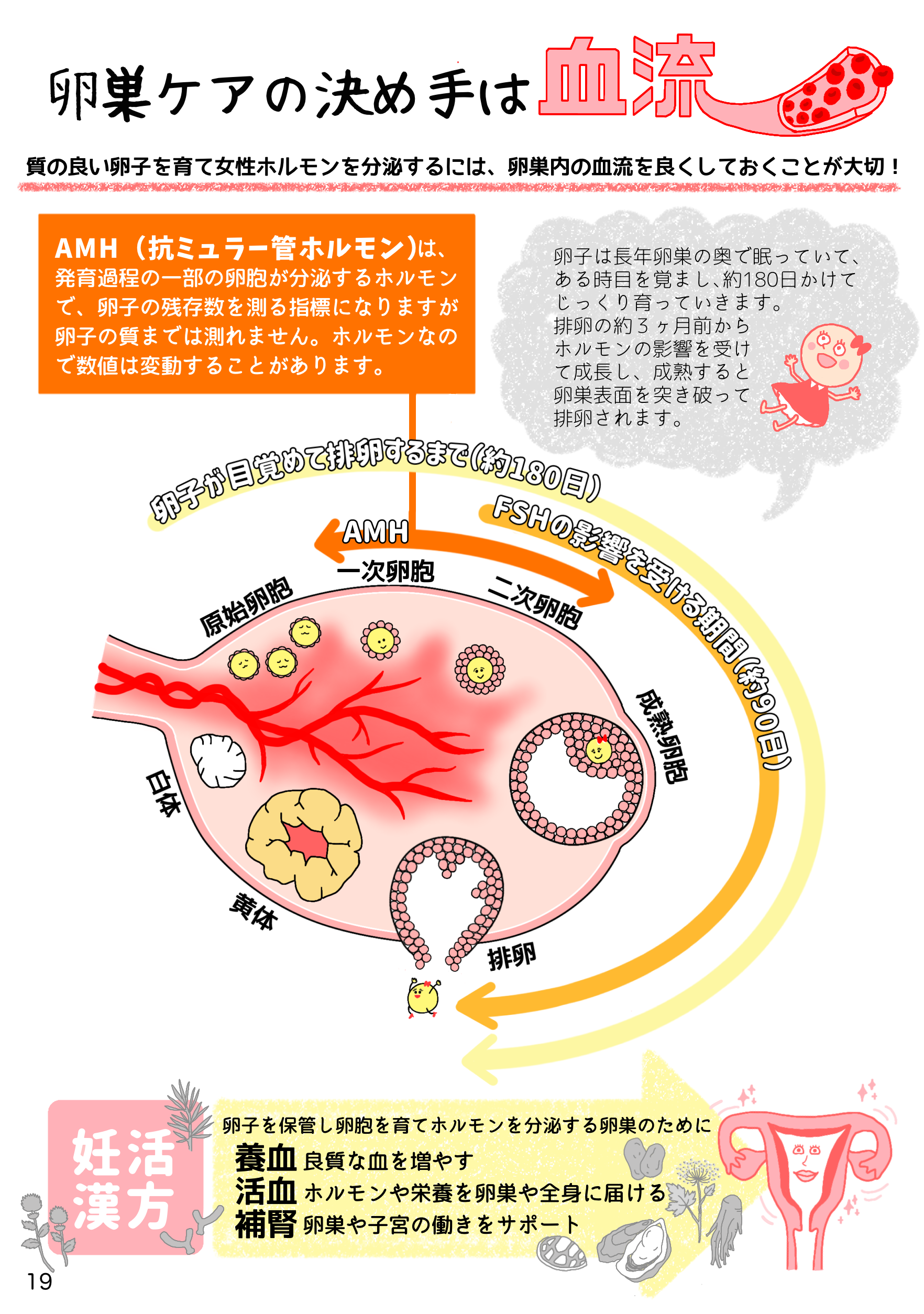 19📘卵巣ケア