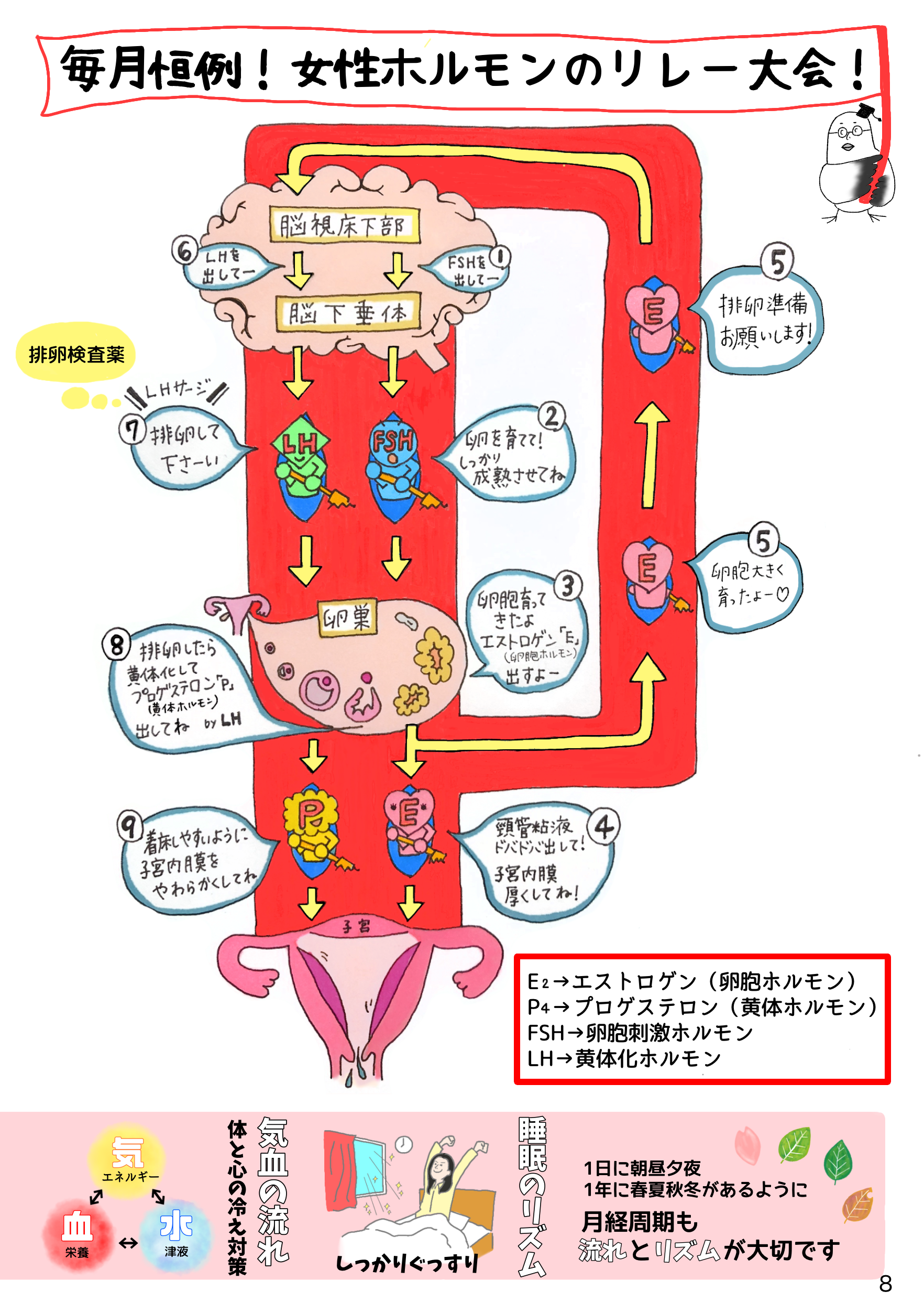 8📗女性ホルモンリレー大会