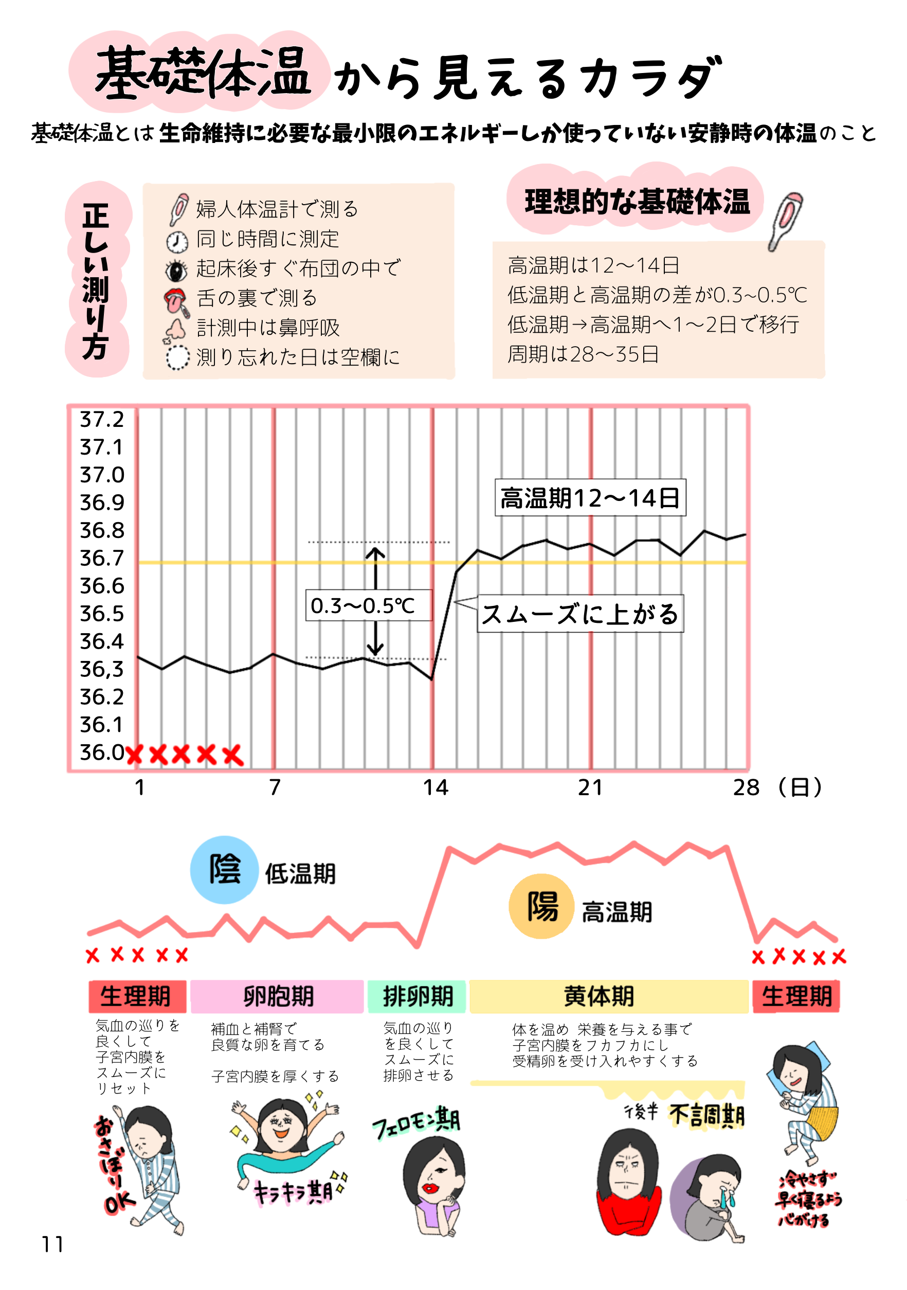 11📗基礎体温から見るカラダ左